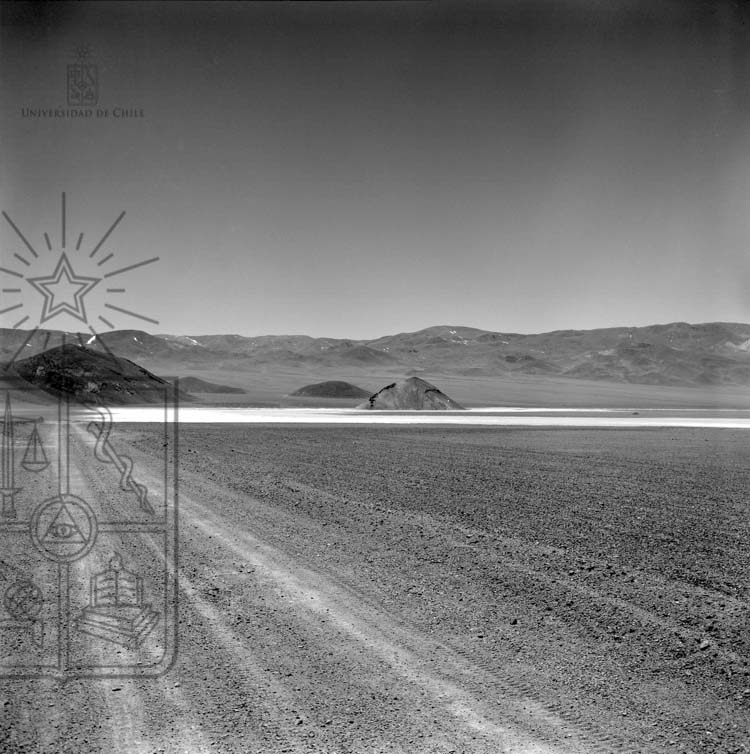 Desierto Maricunga 21