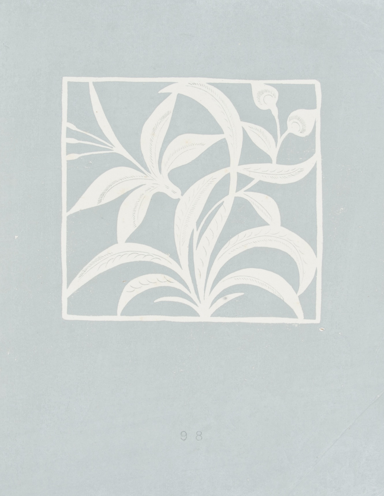 Recuadro con plantas [2]
