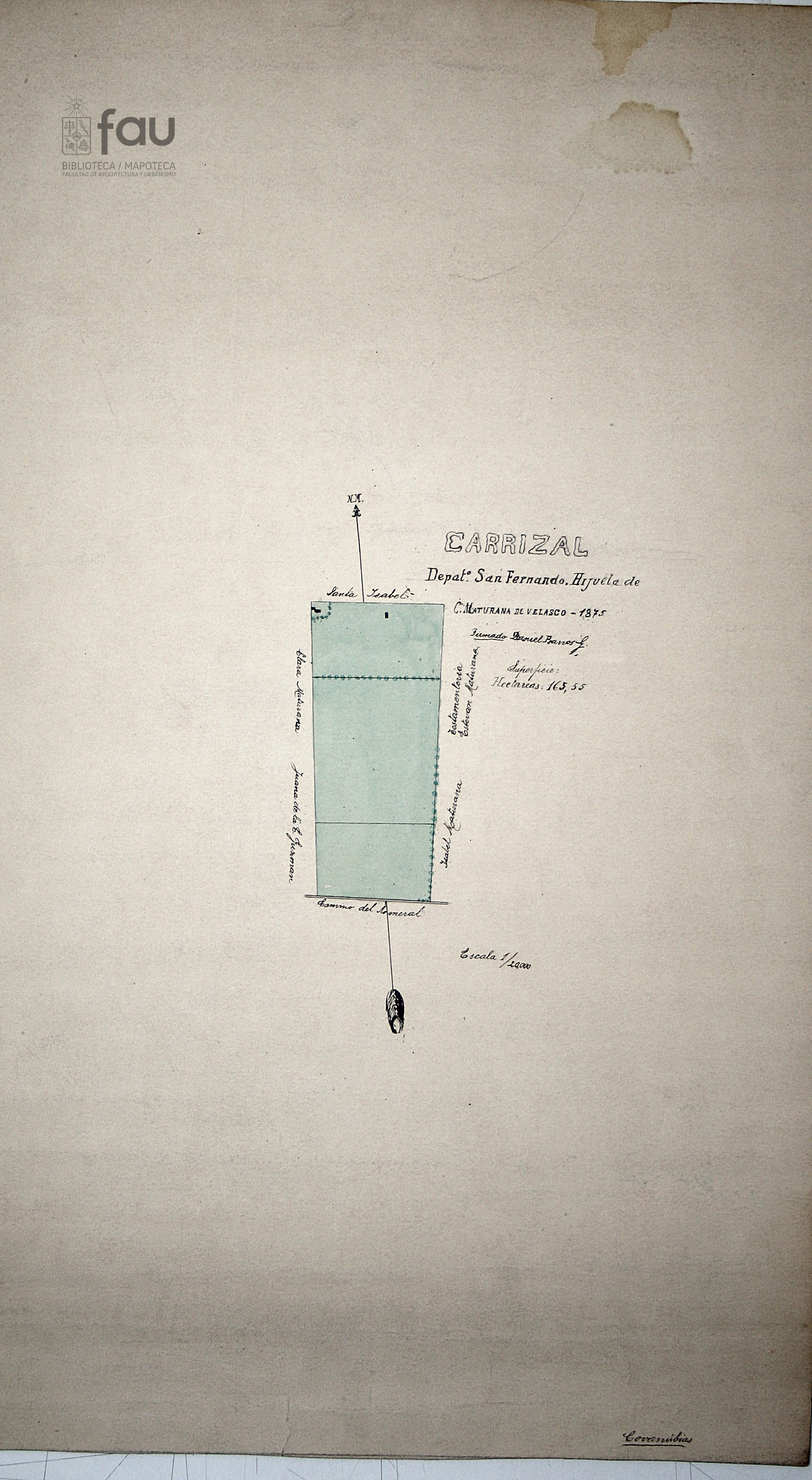 Carrizal : Hijuela de C. Maturana de Velazco