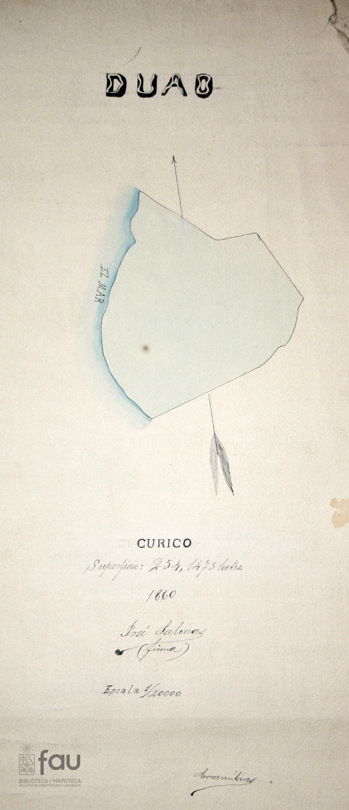 Duao : Curicó