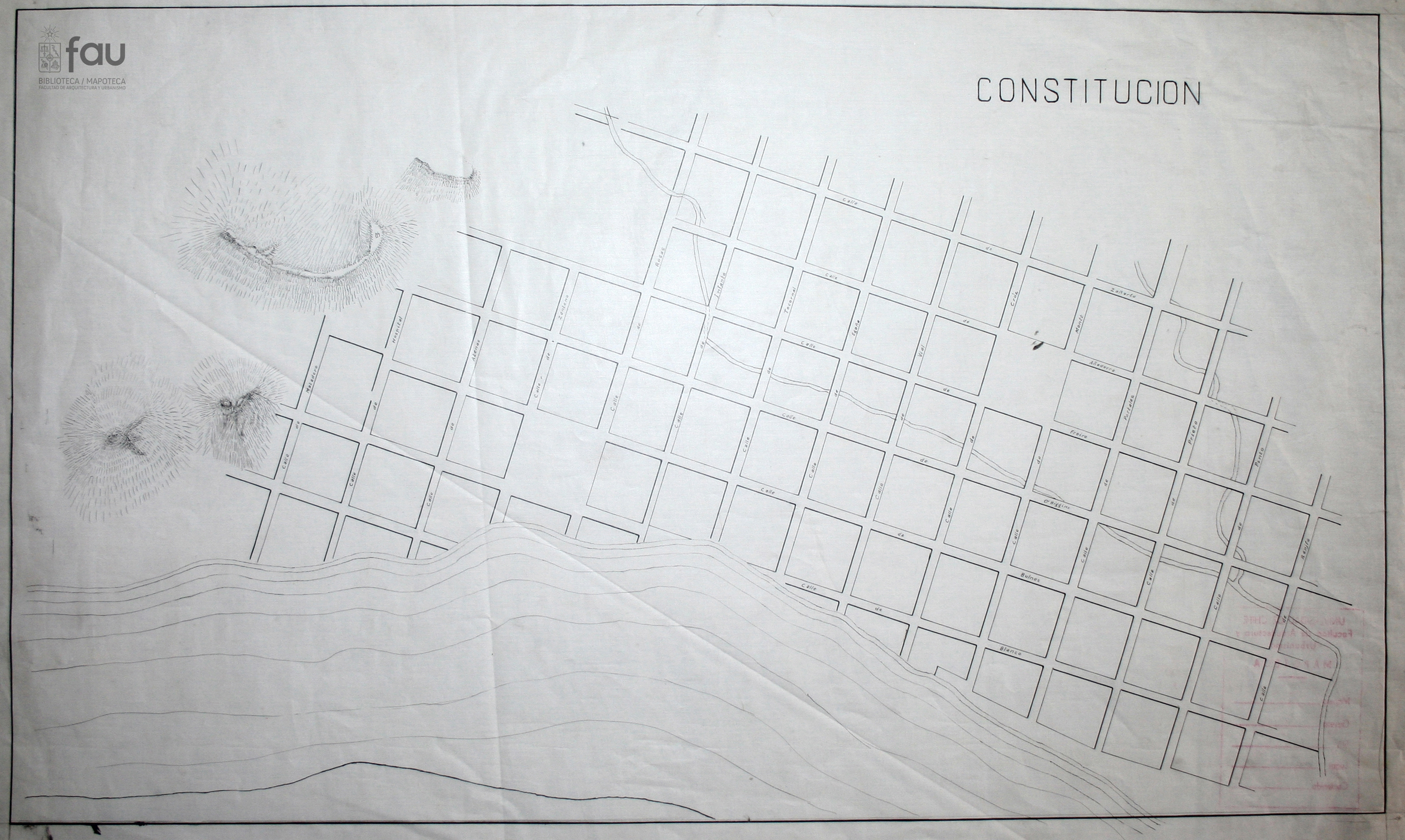 Constitución