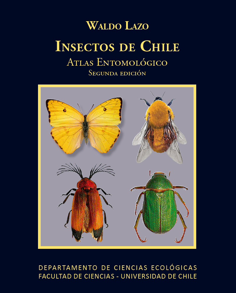 Insectos de Chile: atlas entomológico