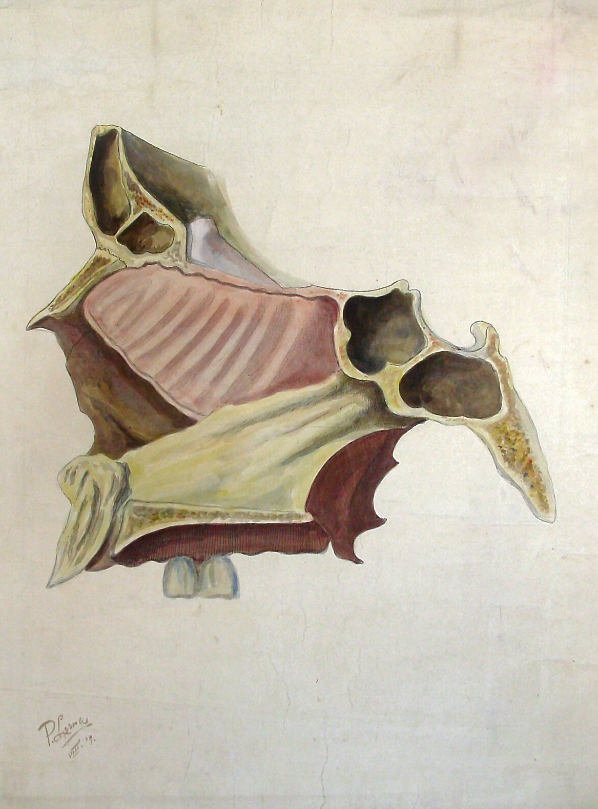 A38