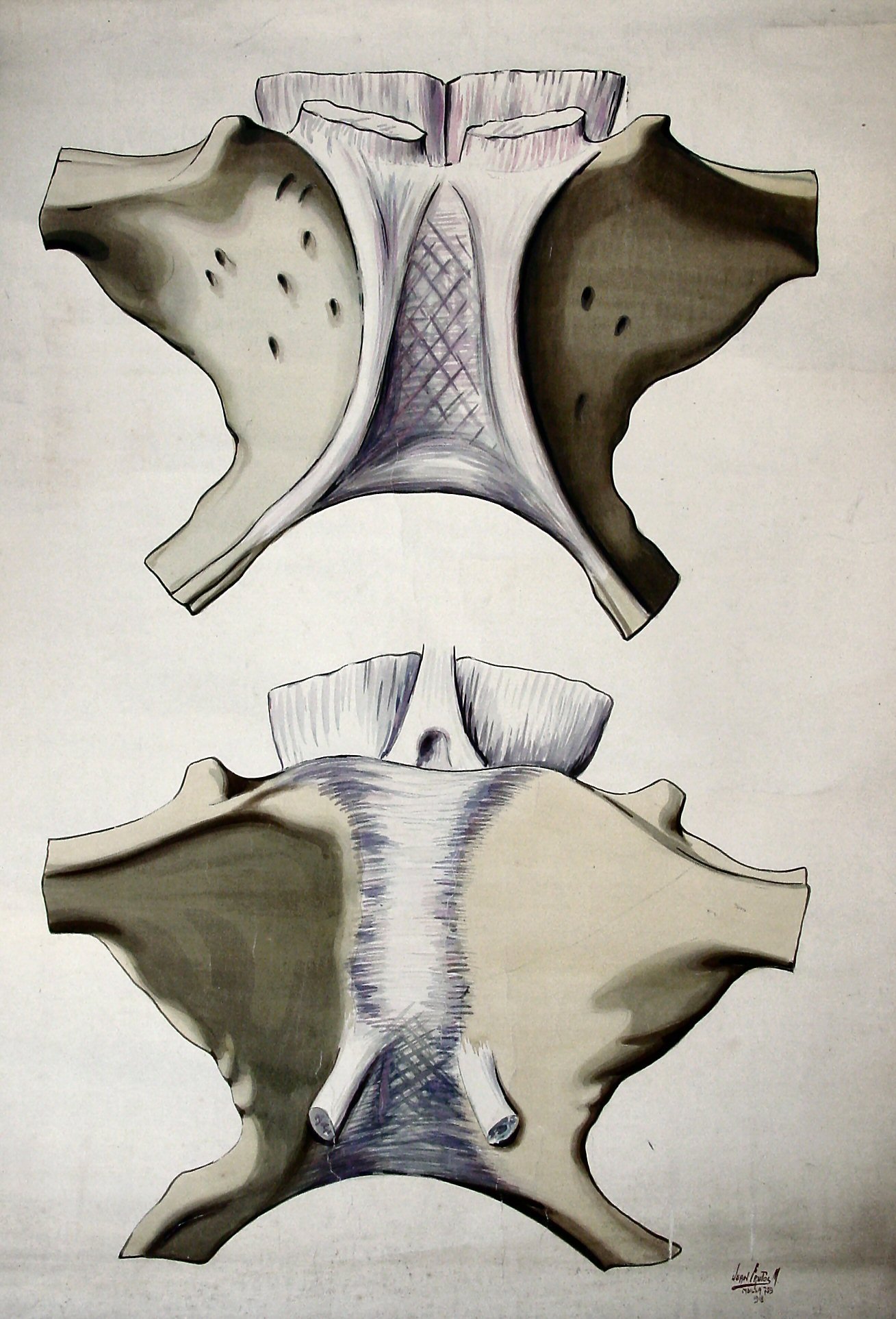 B27