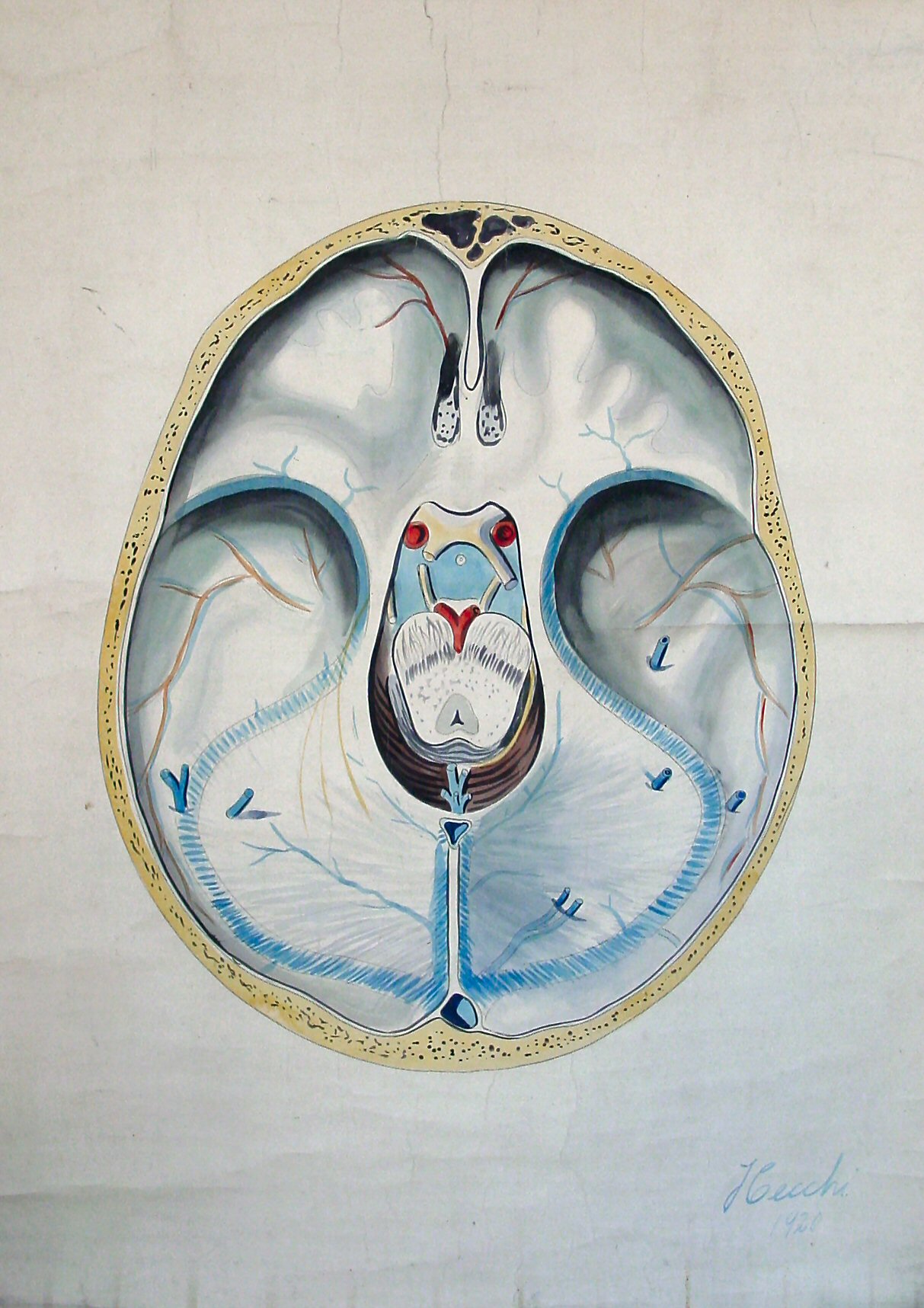 E55